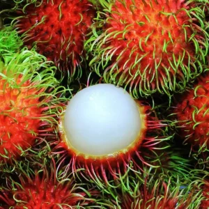 ৩ পিচ রামভুটান চারা